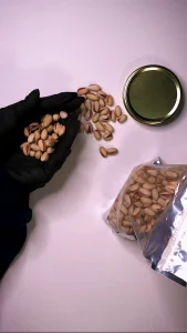 پسته رفسنجان